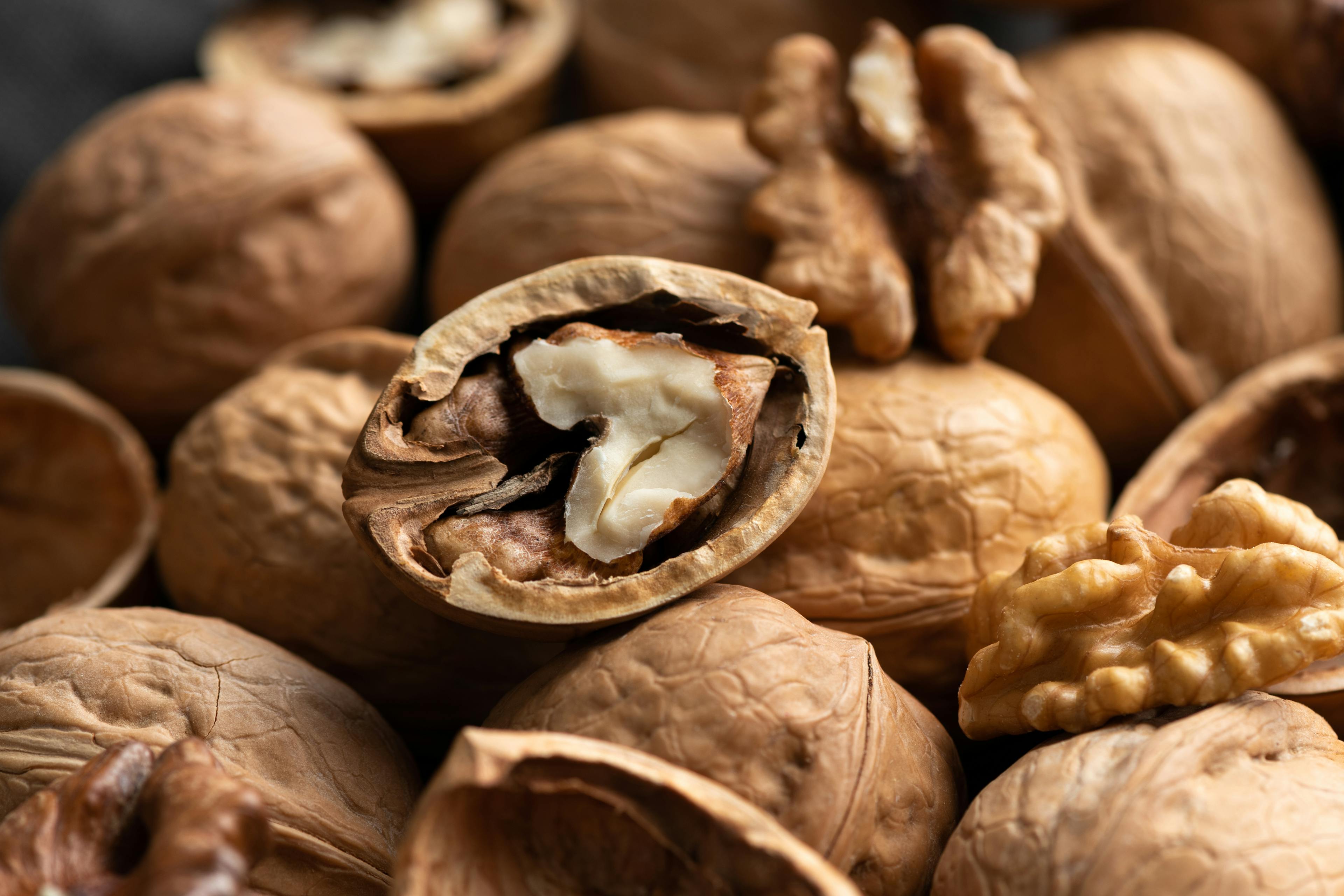 Noix AOP du Perigord