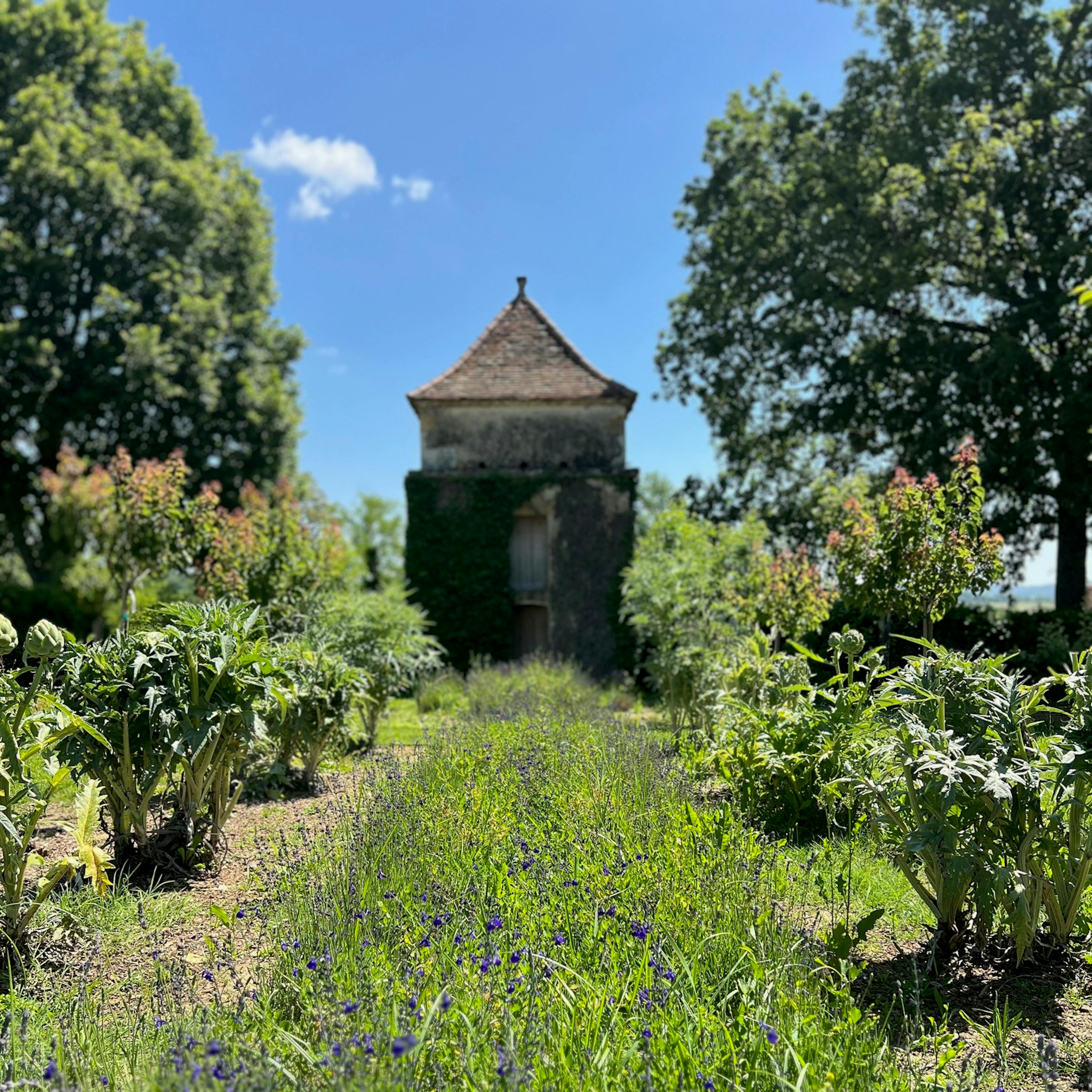 Potager domaine de Cazenac