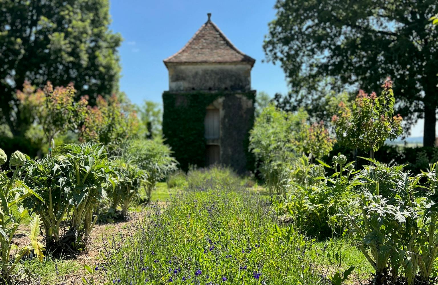 Potager domaine de Cazenac