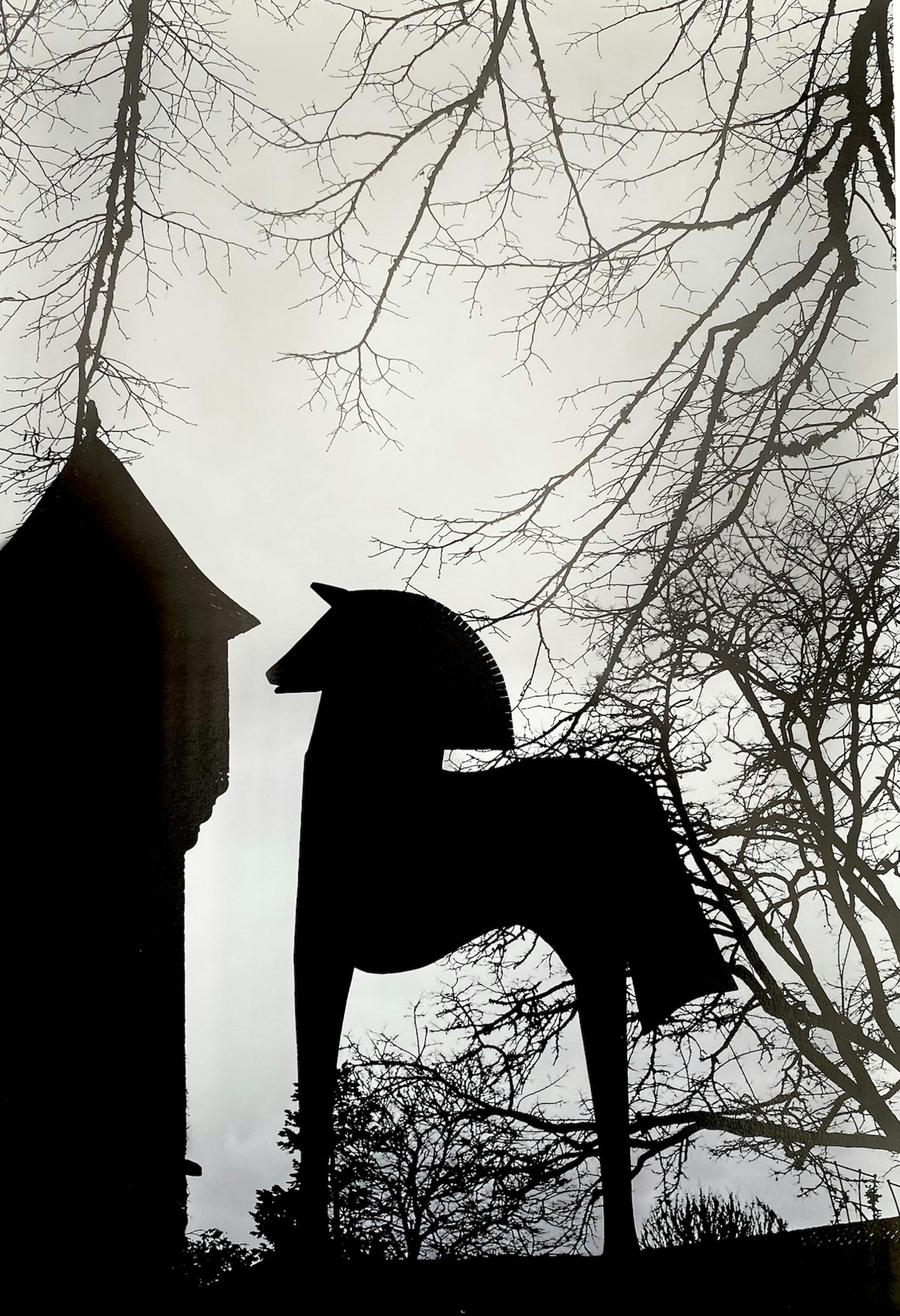 Atelier photographie Jean-Christophe Béchet Domaine de Cazenac