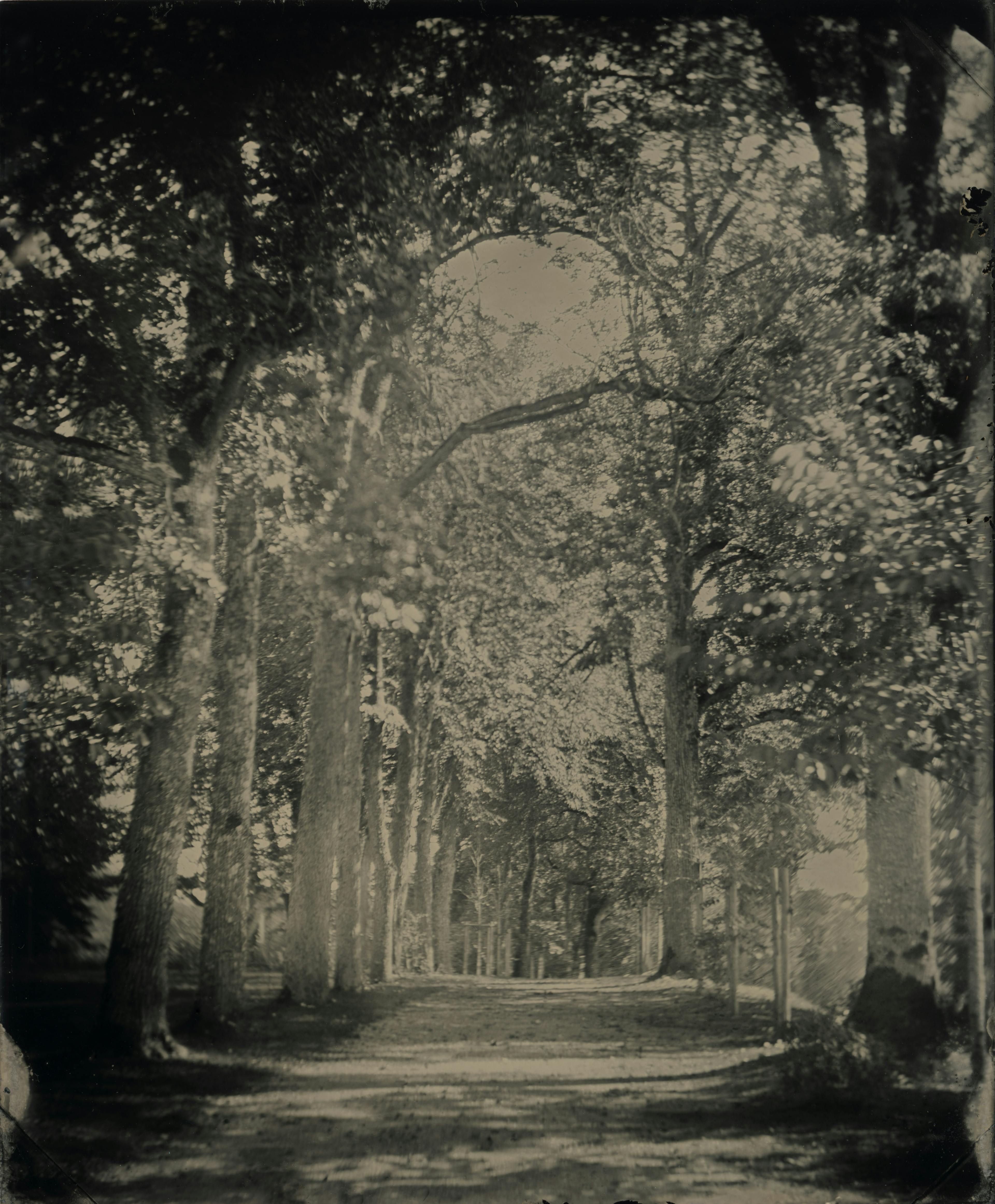 Atelier photographie - Higginson - Domaine de Cazenac