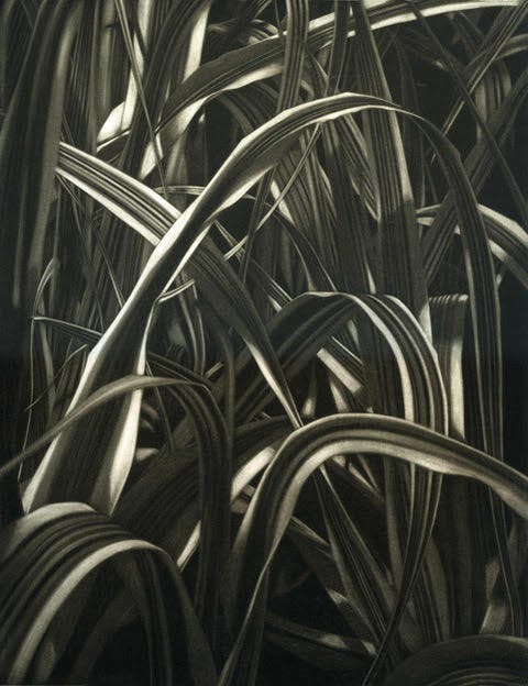 Atelier gravure - Guy Braun - Domaine de Cazenac