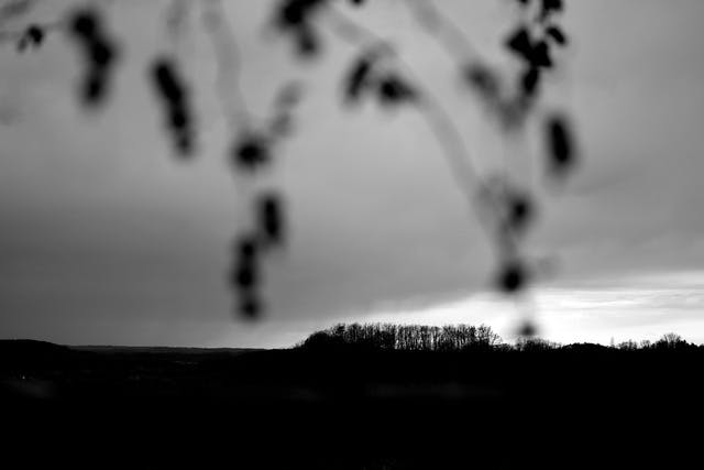Atelier photographie Jean-Christophe Béchet Domaine de Cazenac