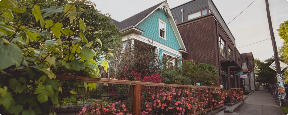 Neighbourhood Guides