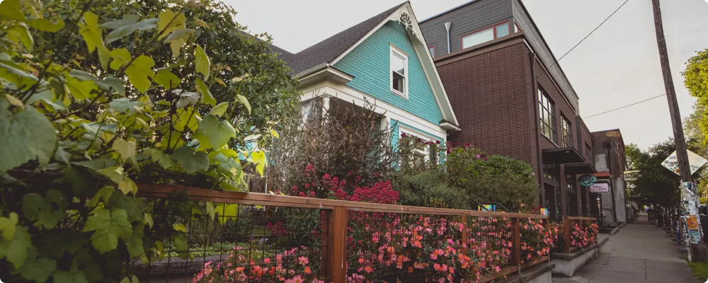 Neighbourhood Guides