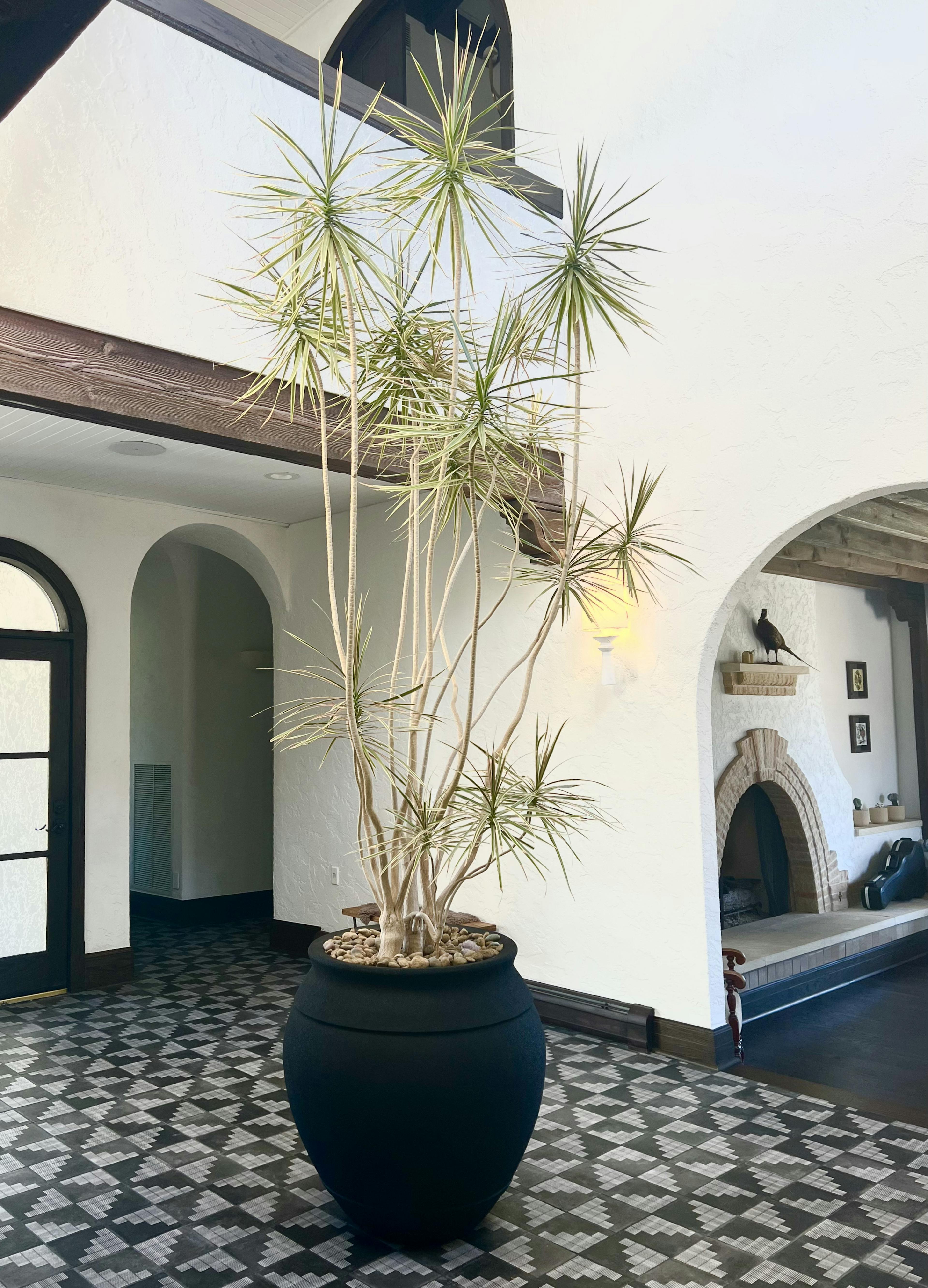 Carriage Brook Casa