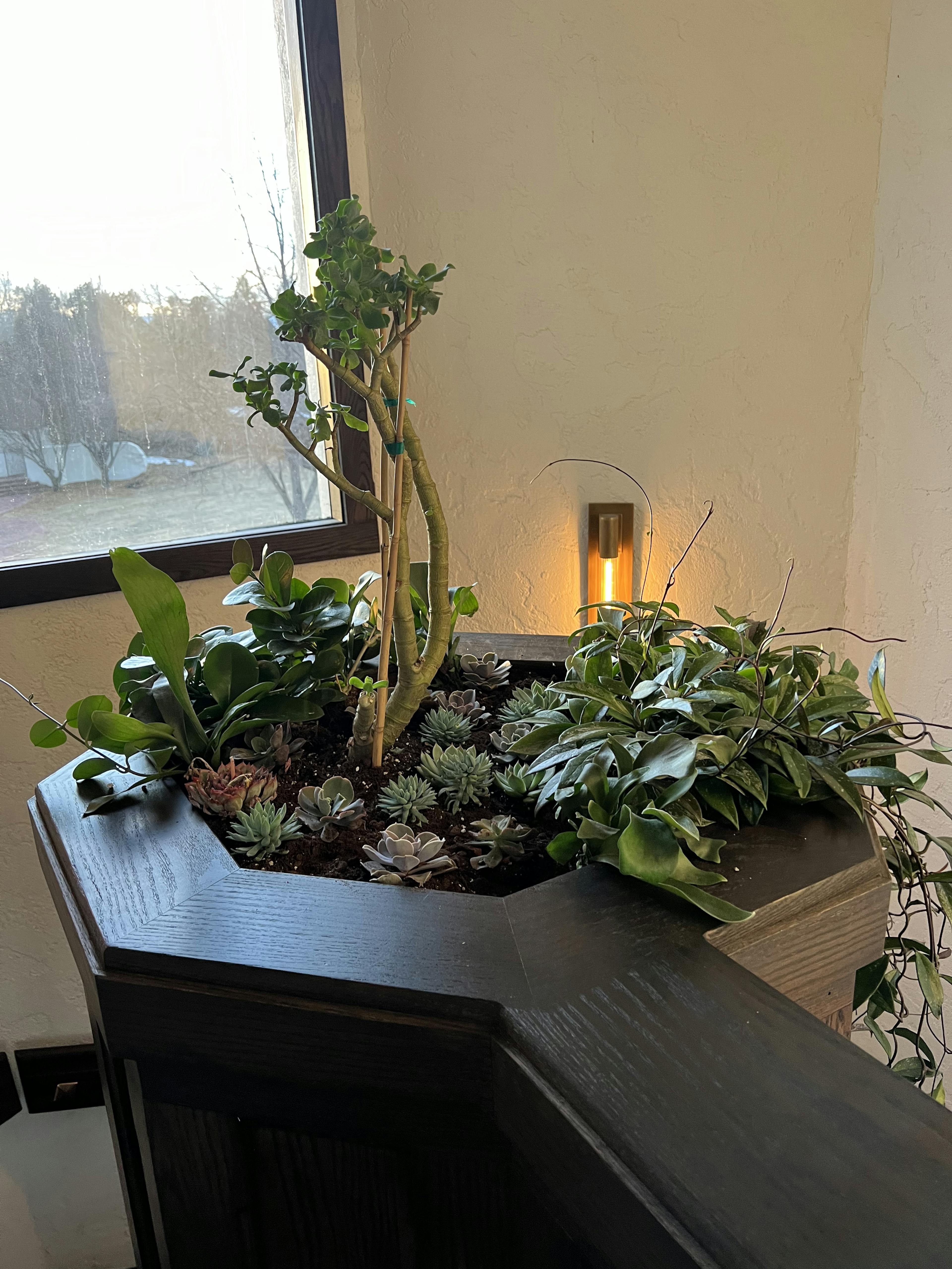 Carriage Brook Casa
