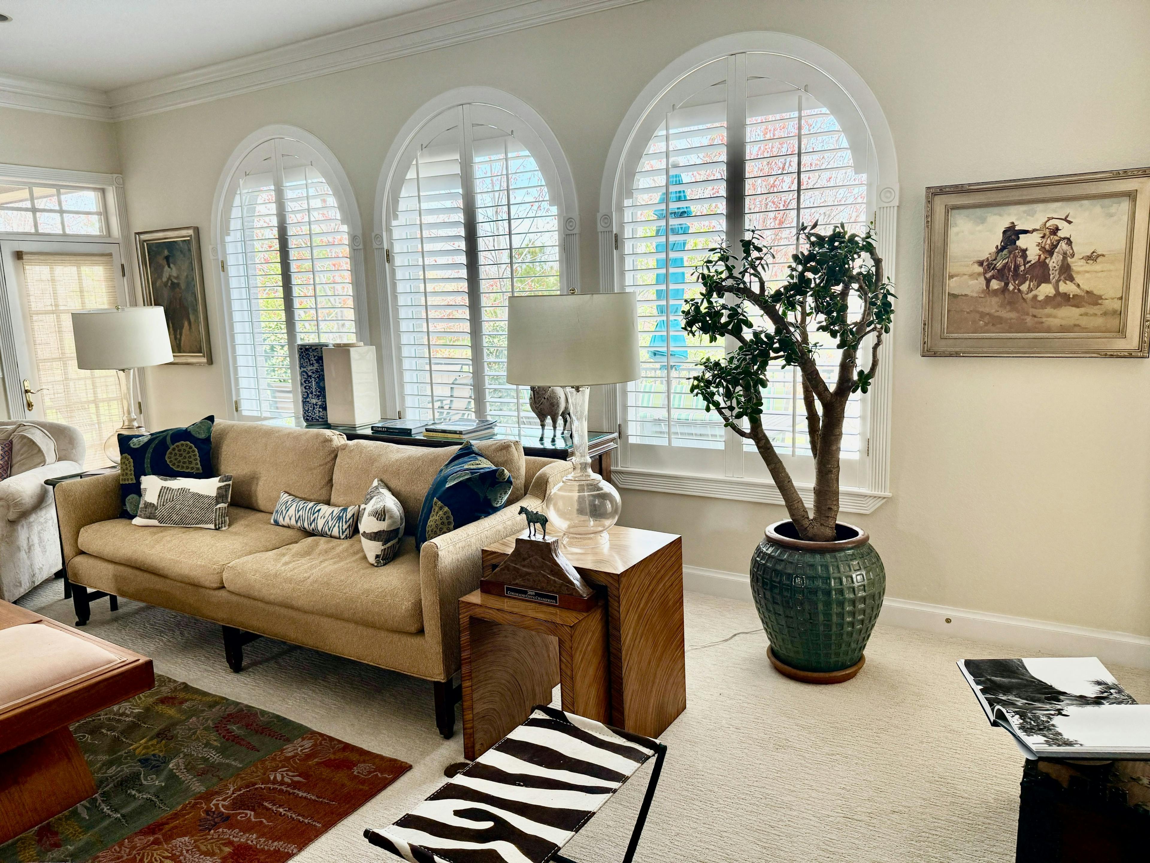 modern oasis 8