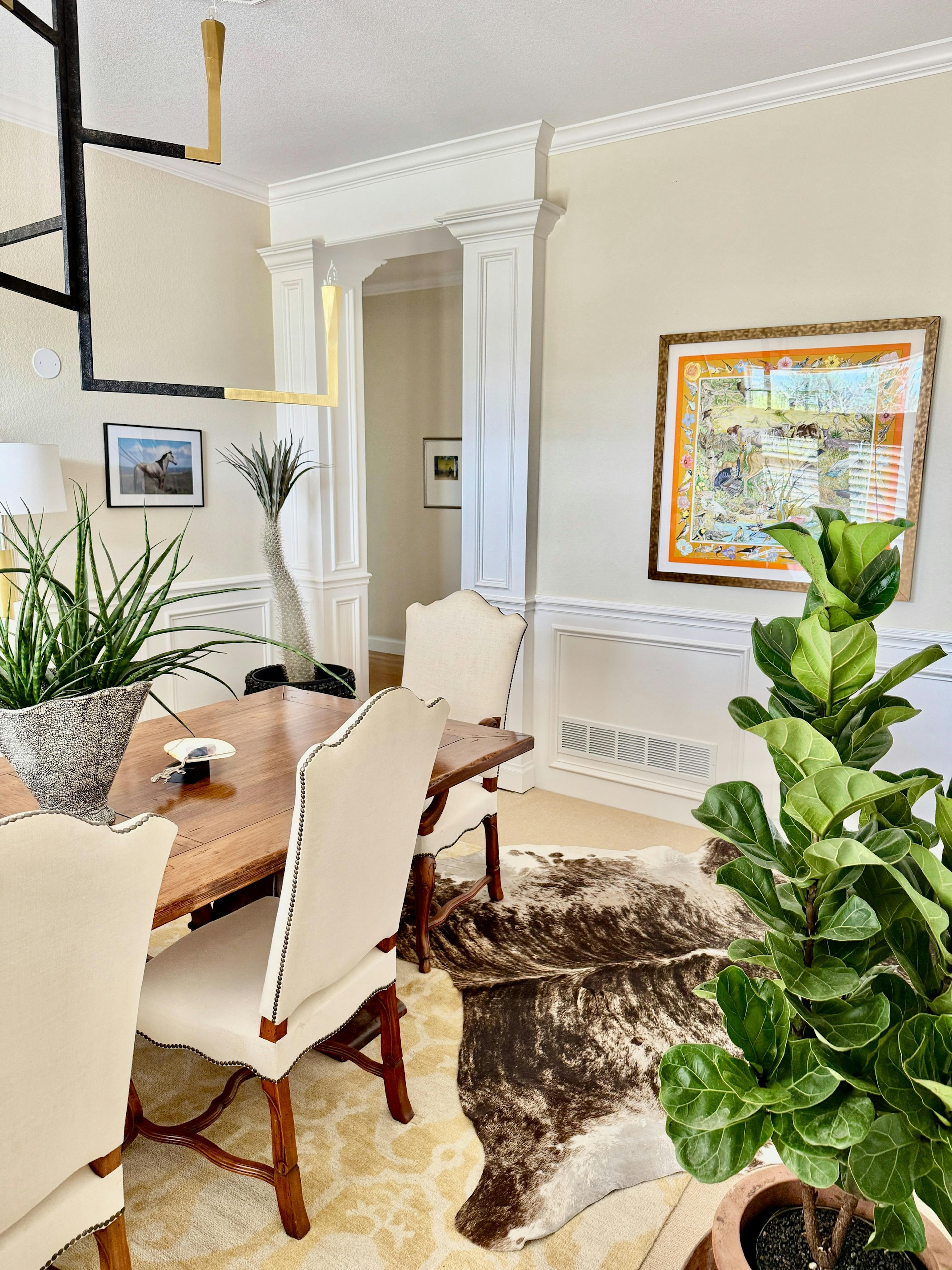 modern oasis