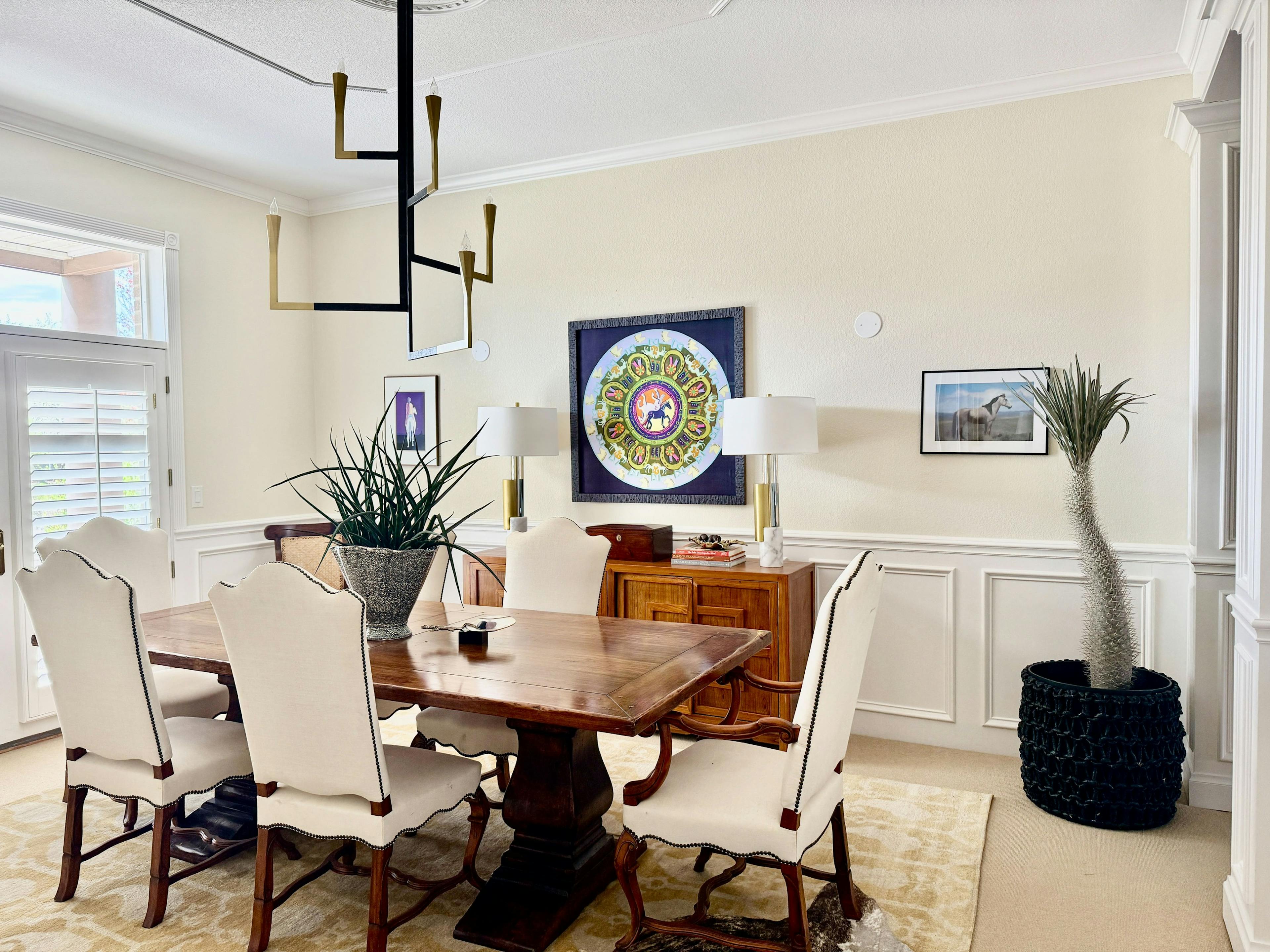 modern oasis