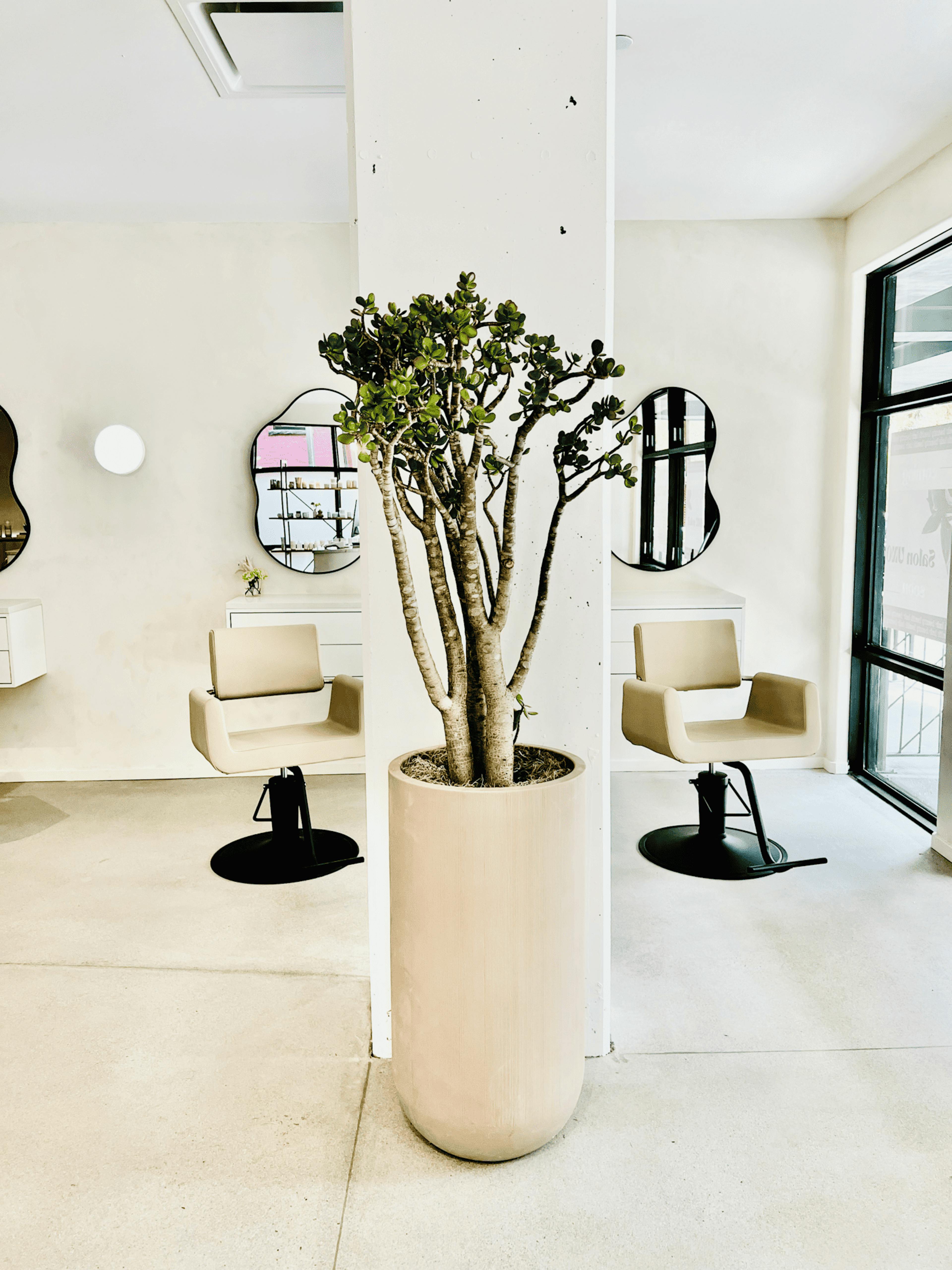 Salon Uno 