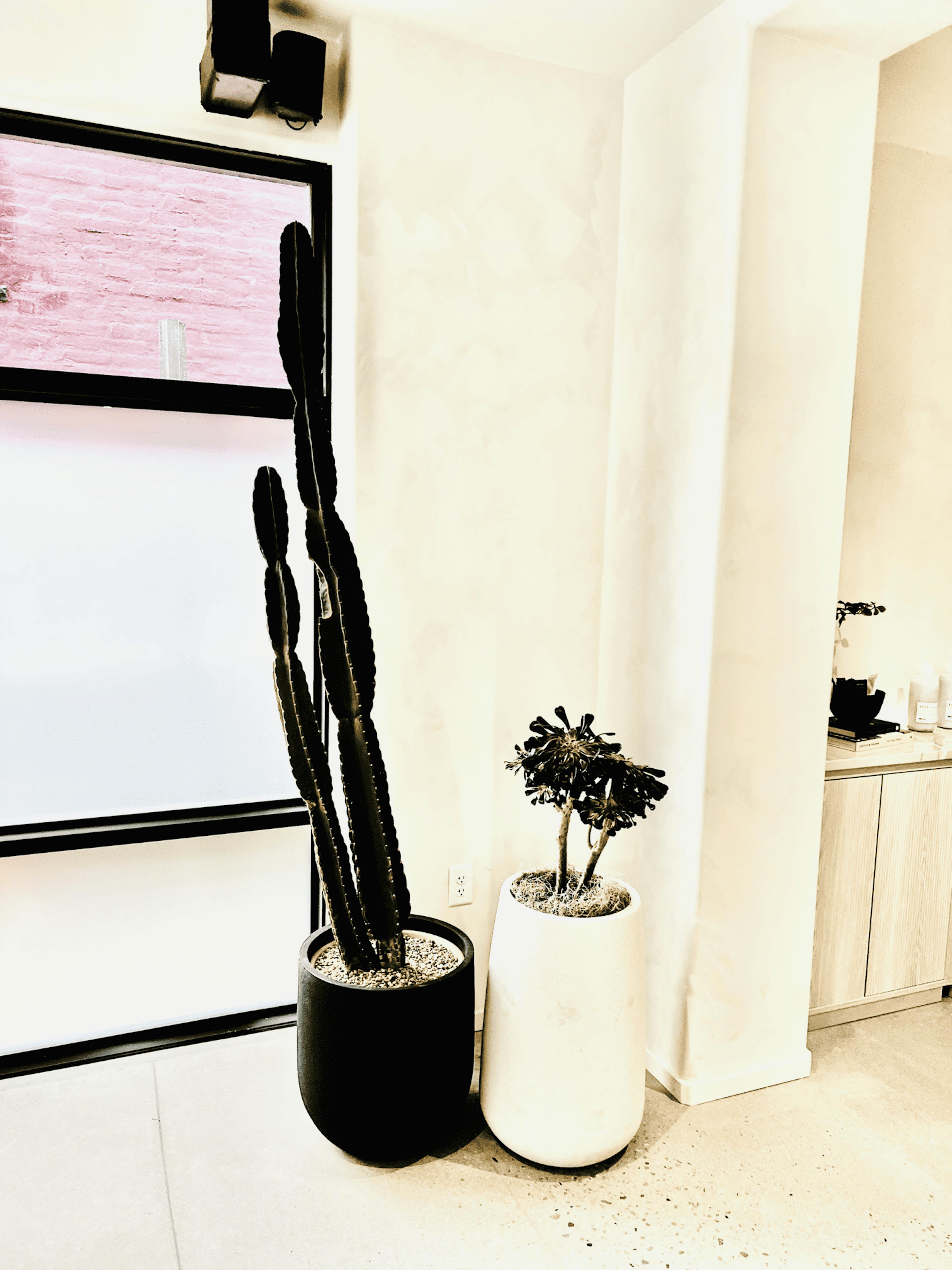 Salon Uno