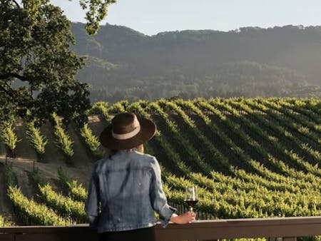 Travel + Leisure Destination Wine Club