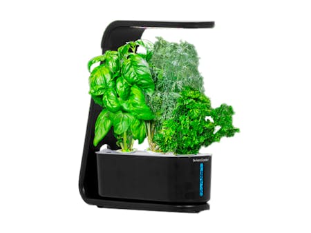 AeroGarden Sprout