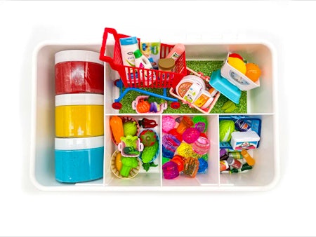 Young + Wild and Friedman Sensory Kit