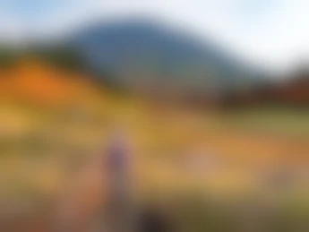  Hiker in Hokkaido, Japan with beautiful fall colors.