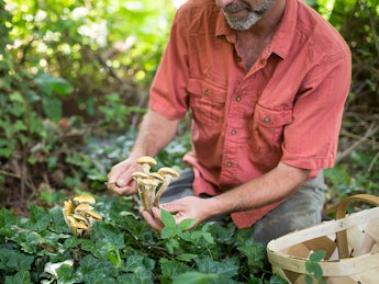 Person foraging.