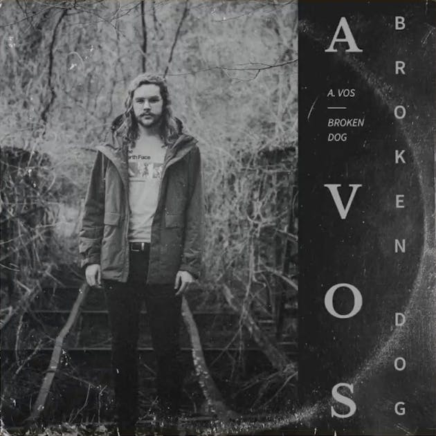 Cover art of "Broken Dog"