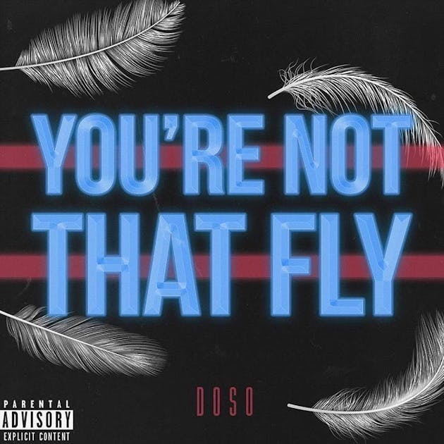 Single art of "You're Not That Fly"