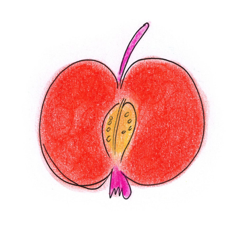 Halbierter roter Apfel