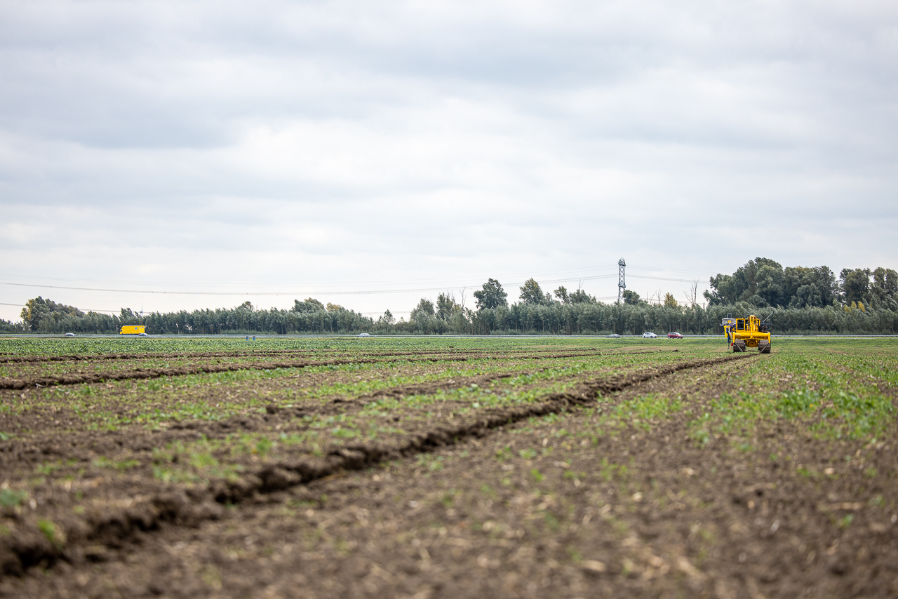 Agrarische Drainage door Drainage Noord in Beerta