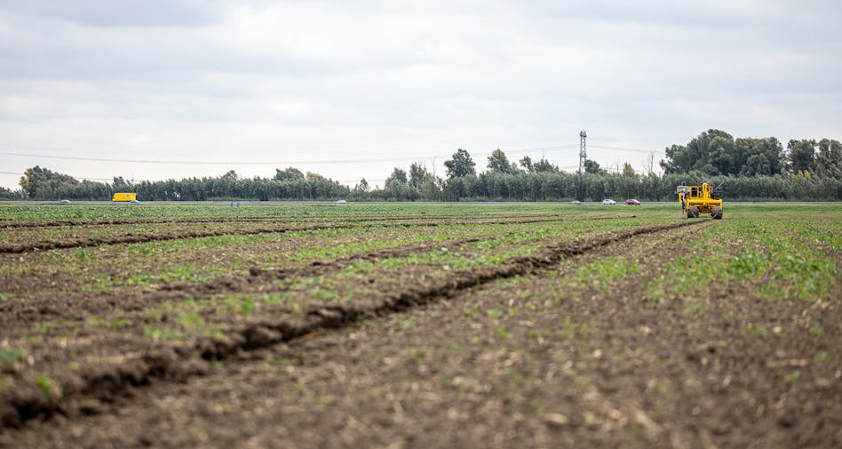 Agrarische Drainage door Drainage Noord in Beerta