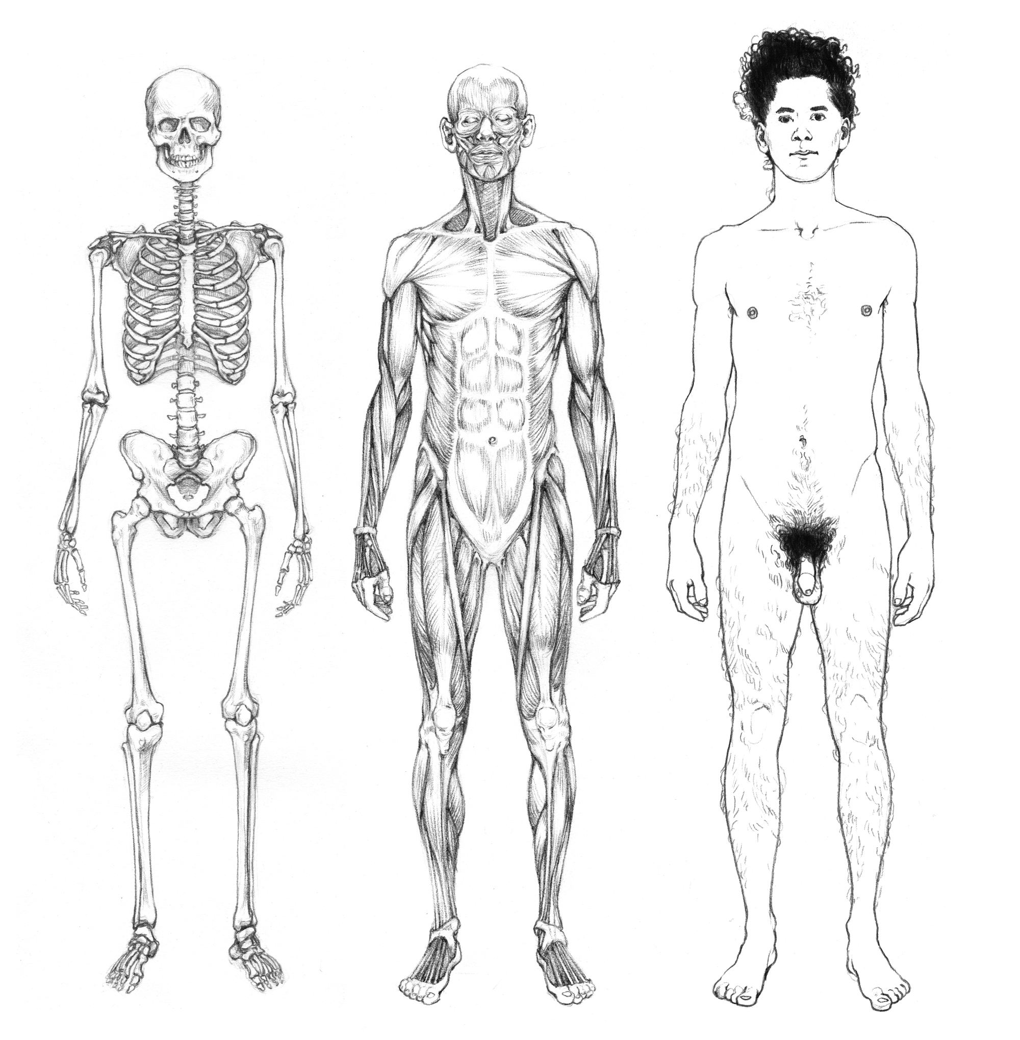 Drawing Body Parts - Anatomy of a Sketch