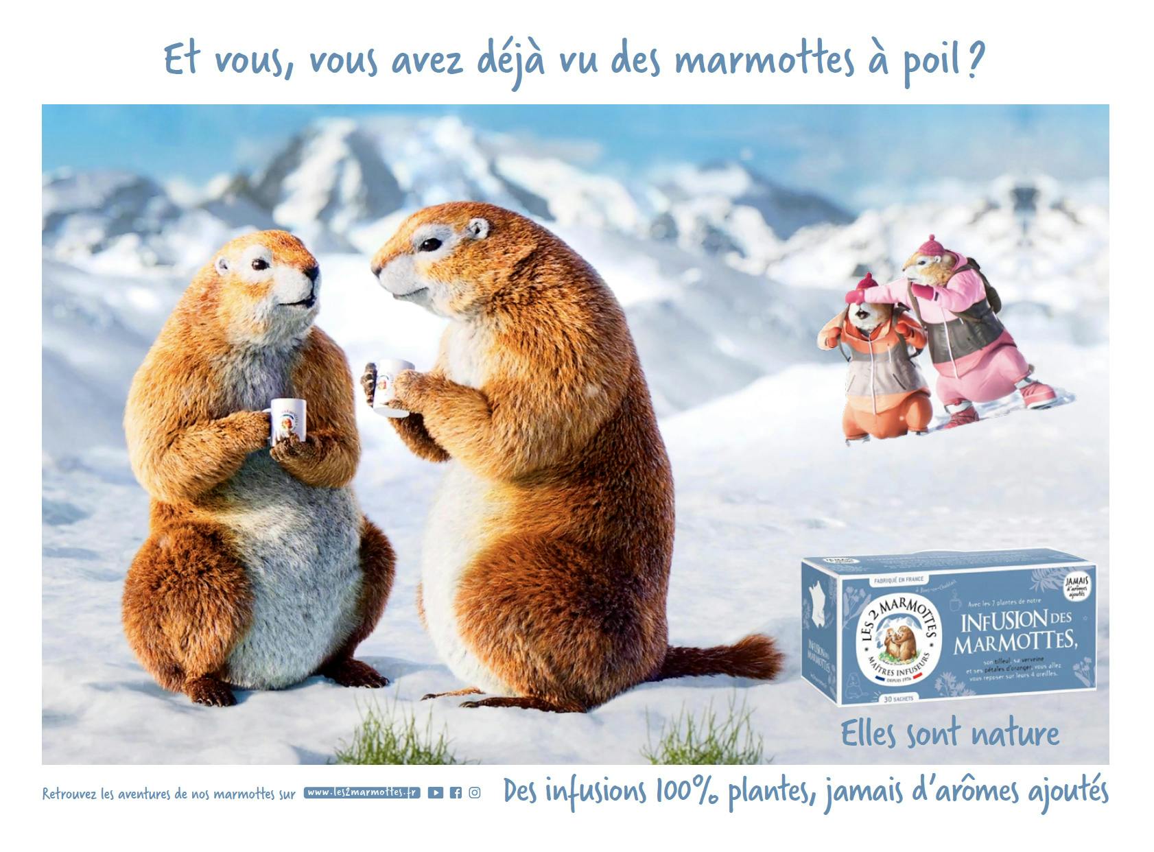 les 2 marmottes - Dream On