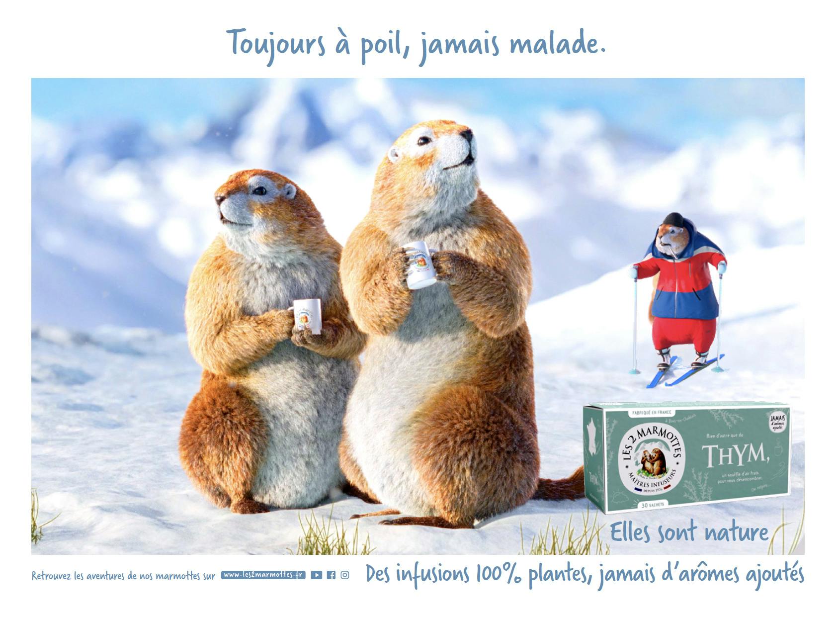 les 2 marmottes - Dream On