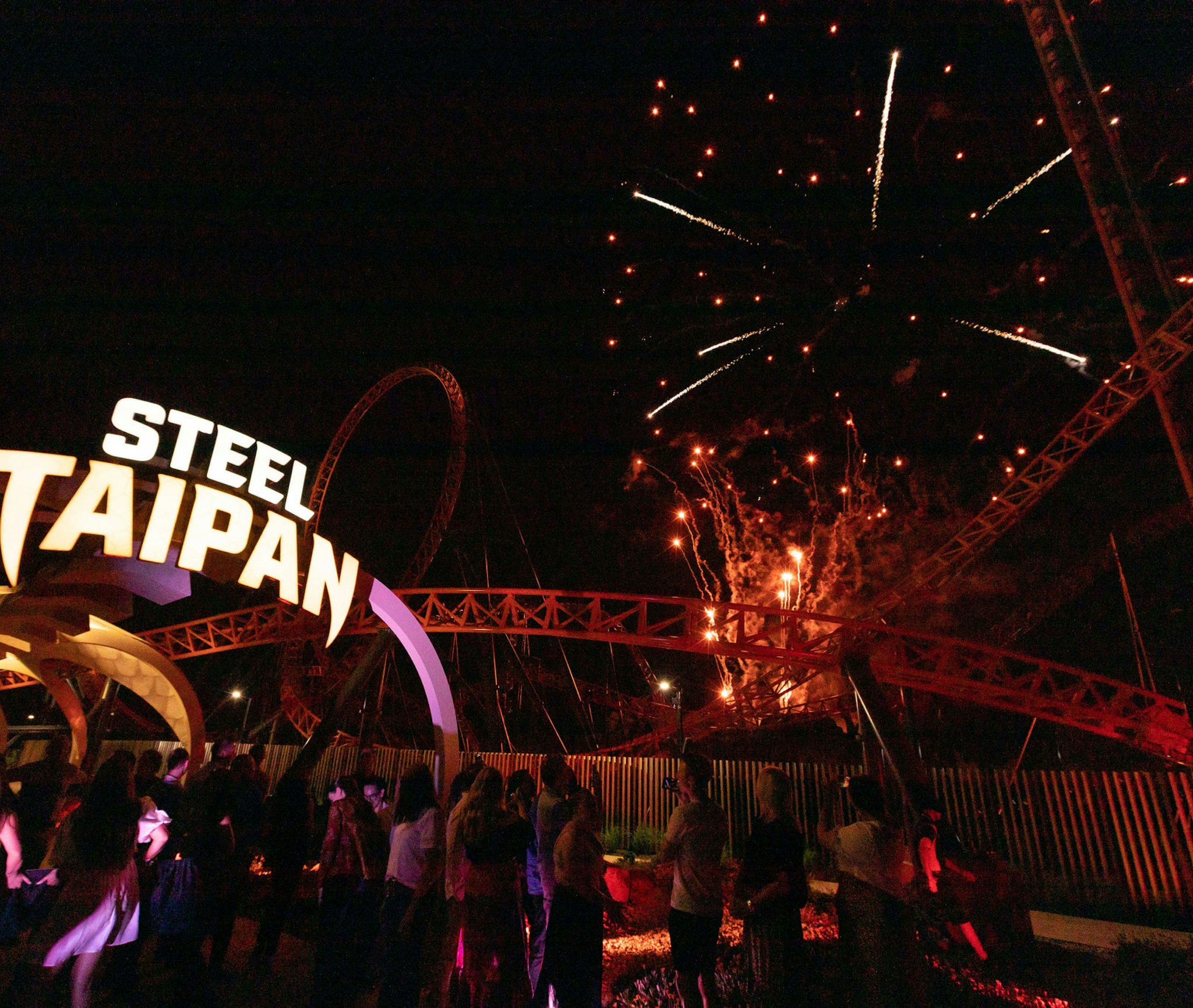 Steel Taipan Dreamworld