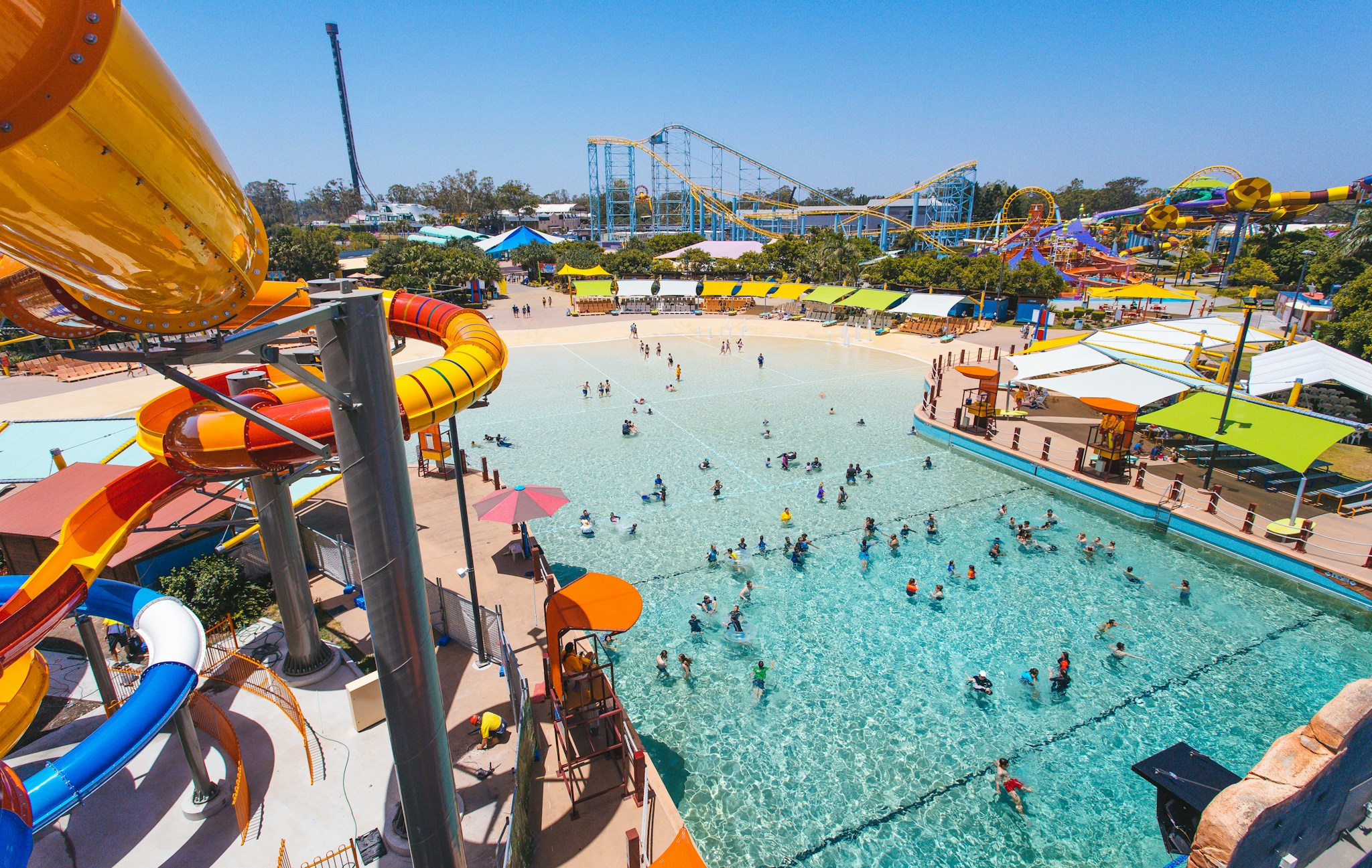 The Little Rippers the-little-rippers