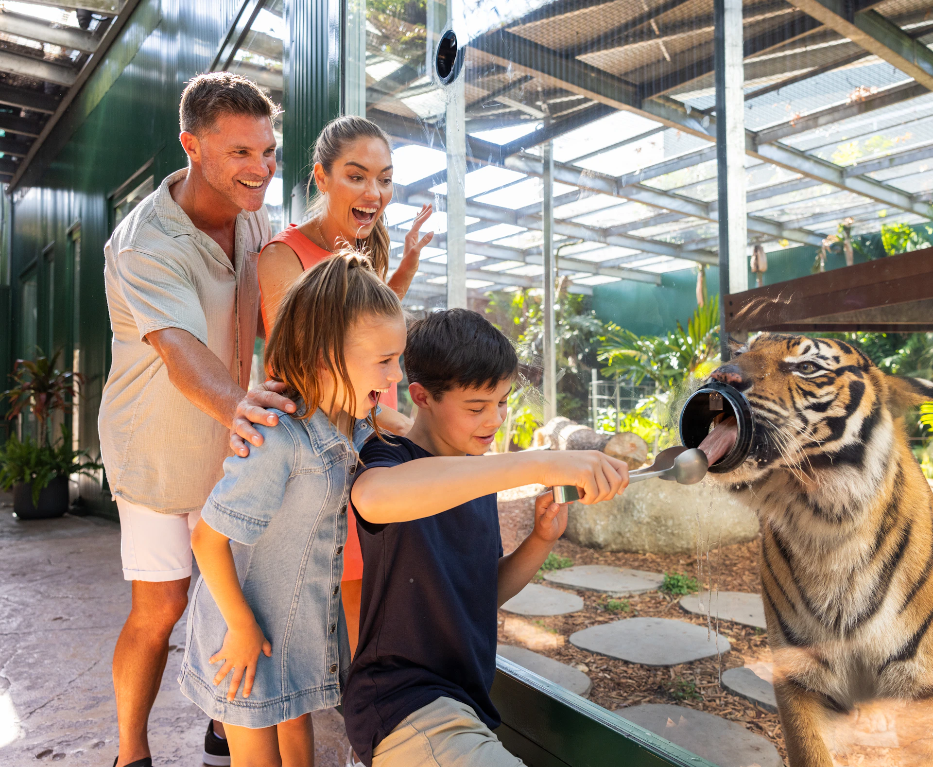 Tiger Island Dreamworld tiger-island-dreamworld