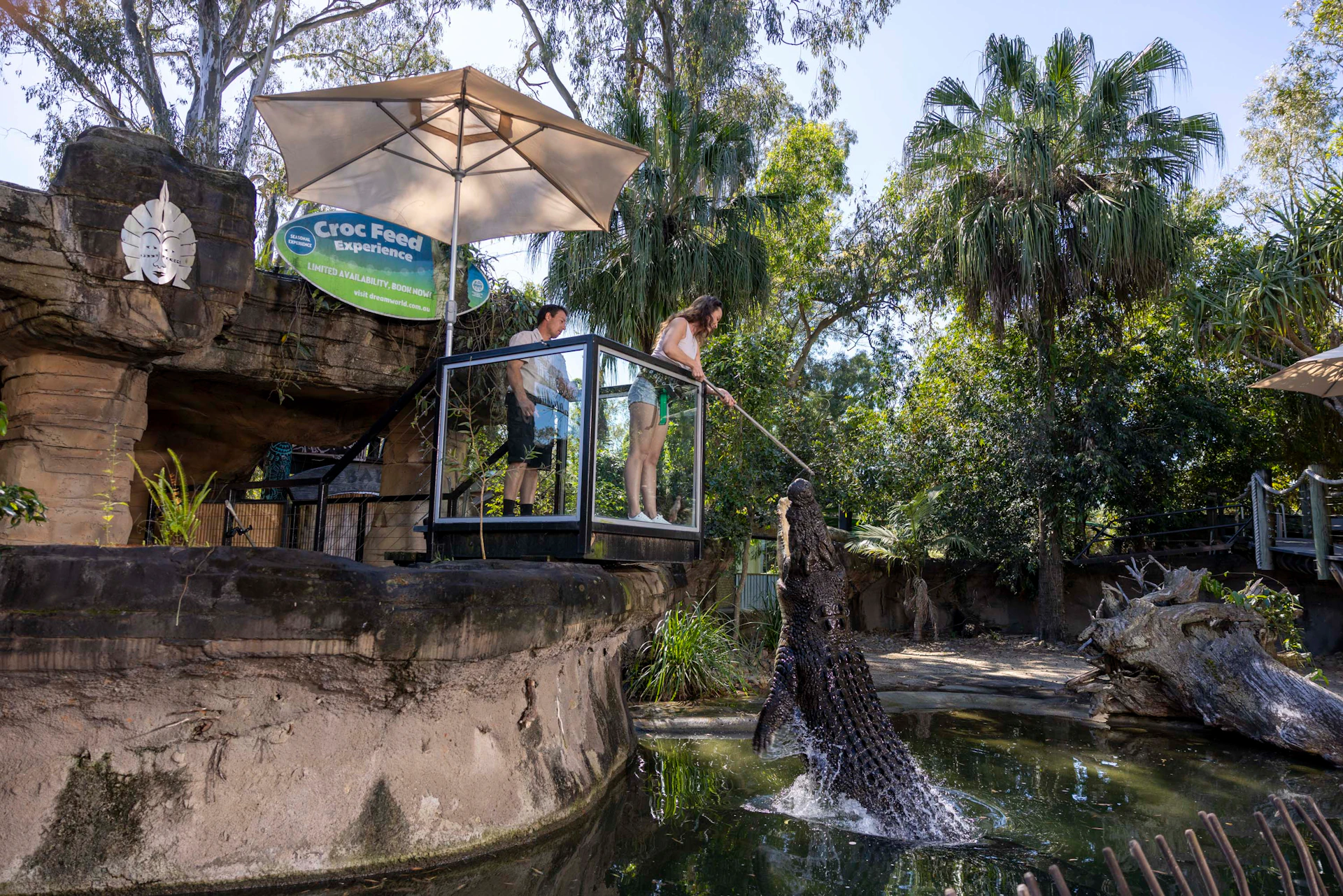 Animal experience