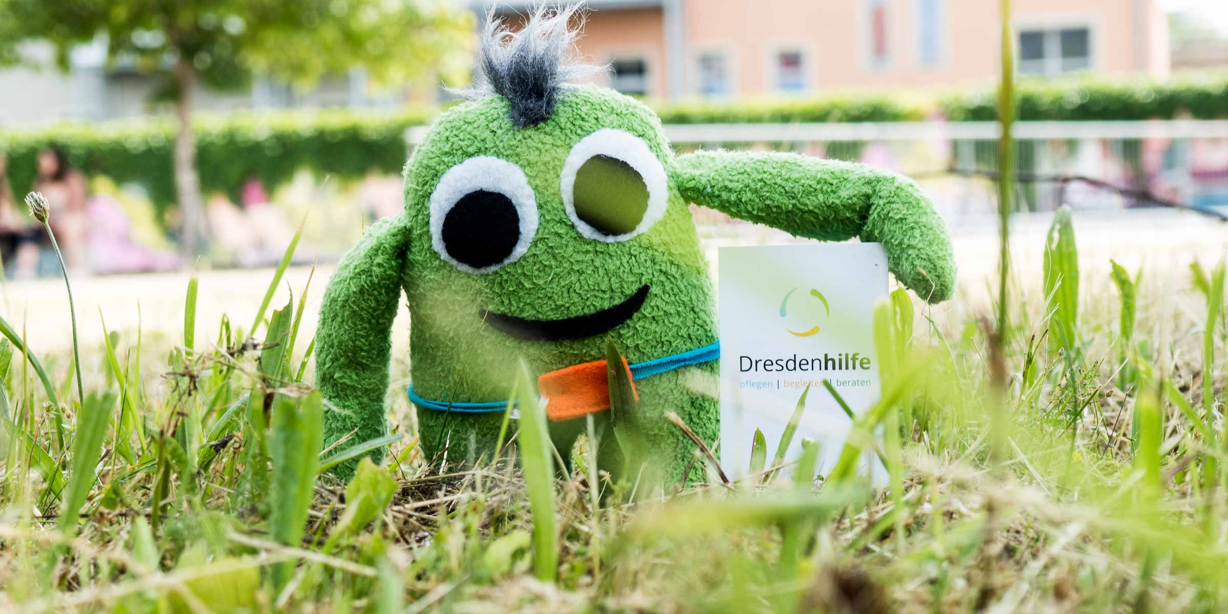 Insulinchen auf einer Wiese