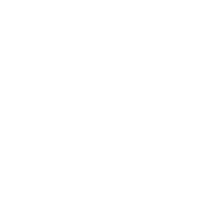 Logo Peter Auto