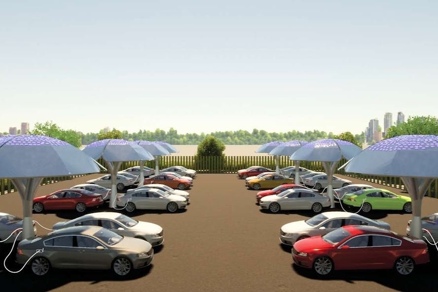 SolarBotanic Trees