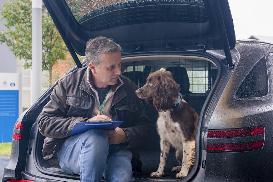 dog in EV study