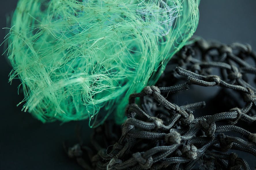 Kia takes steps towards sustainability