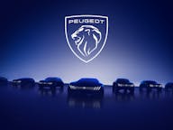 Peugeot E-LION Strategy