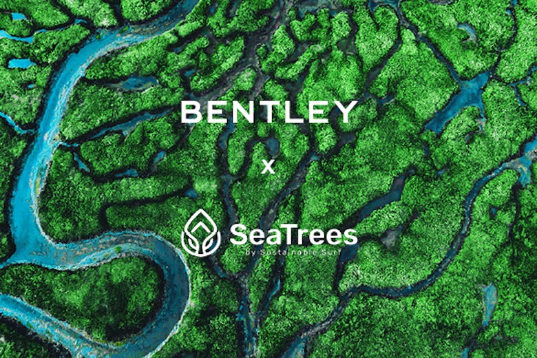 Bentley Environmental Foundation