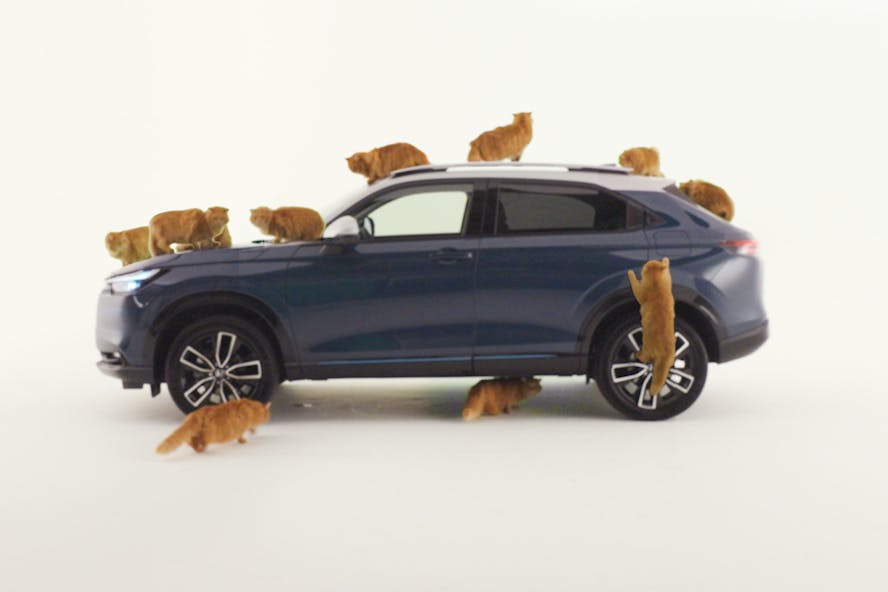Honda covered in cats - April Fool news story 2025
