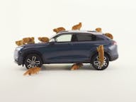 Honda covered in cats - April Fool news story 2025