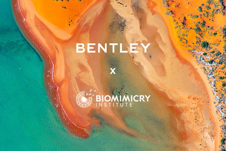 Bentley Environmental Foundation