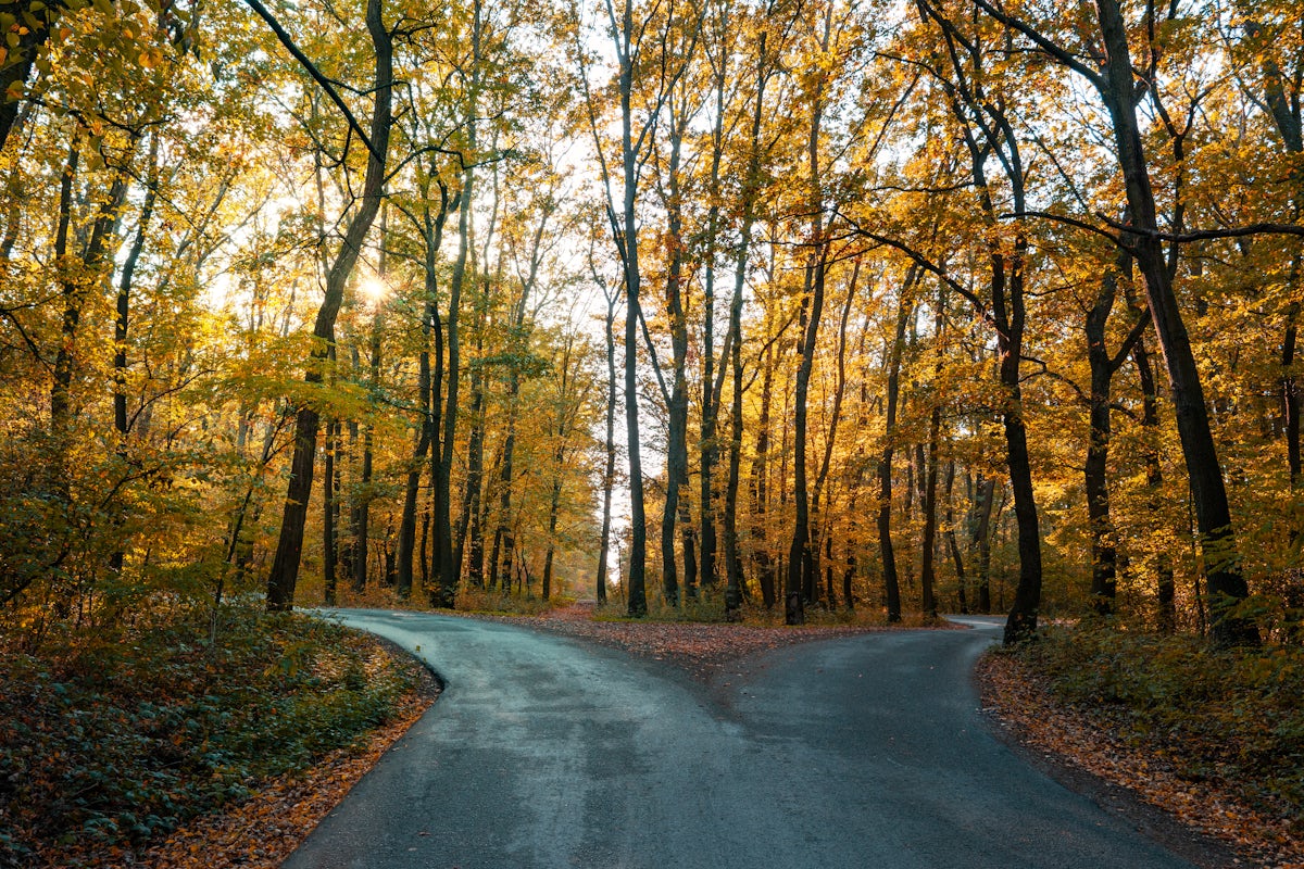 fork in the road