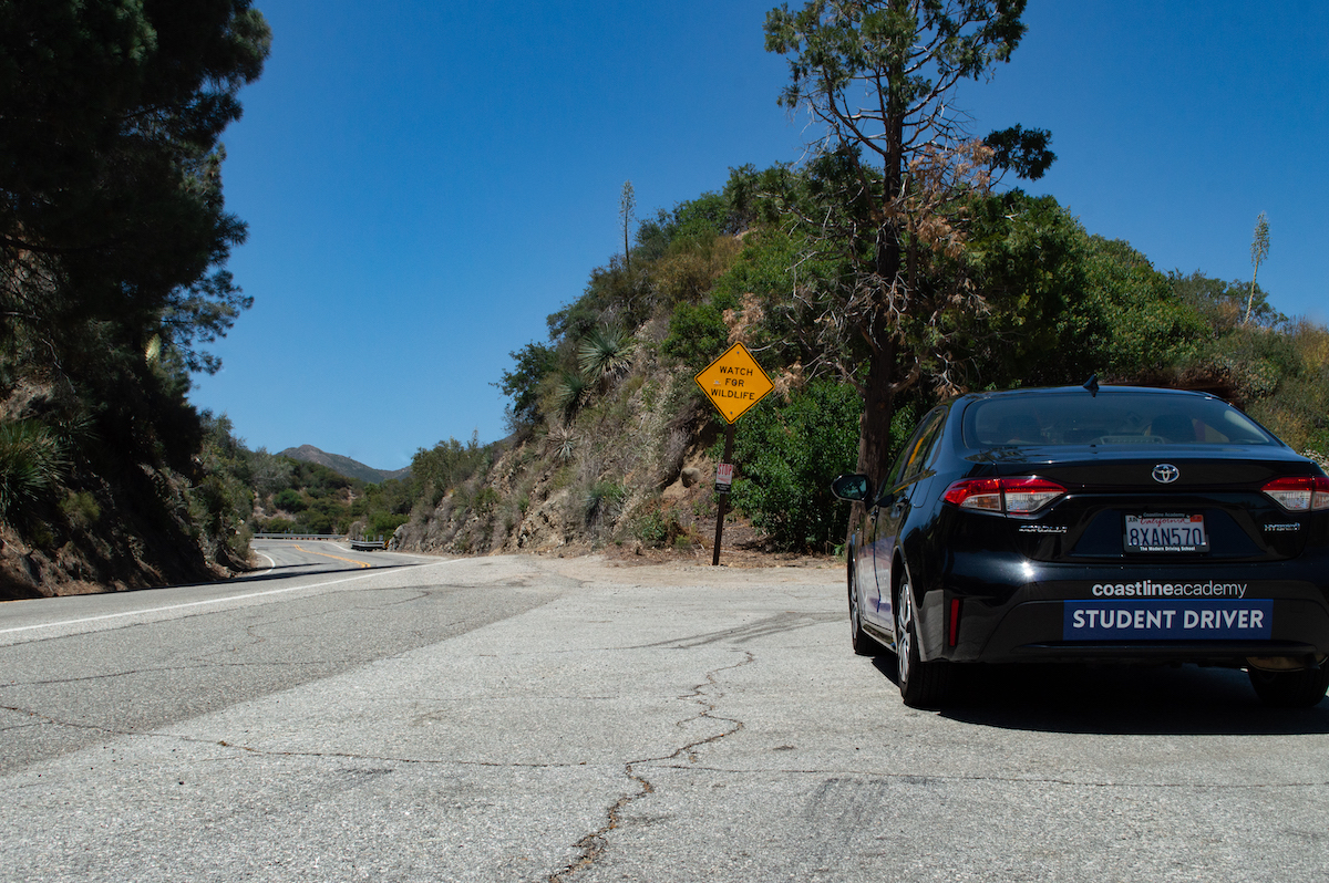 I Have My Learner's Permit, What Do I Have To Do Now?