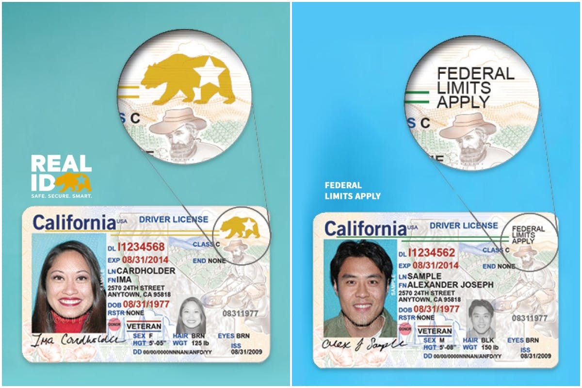 We take a look at the REAL ID and how it compares to a regular driver's license.