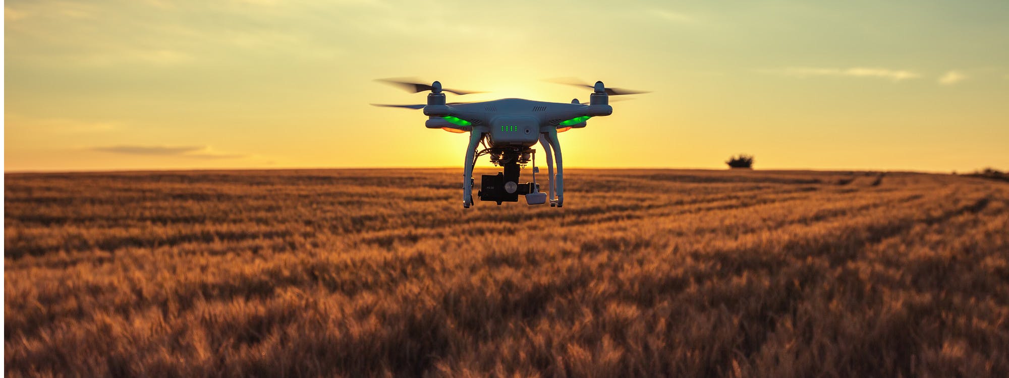 The Ultimate Guide to Drones on the Farm | DroneDeploy