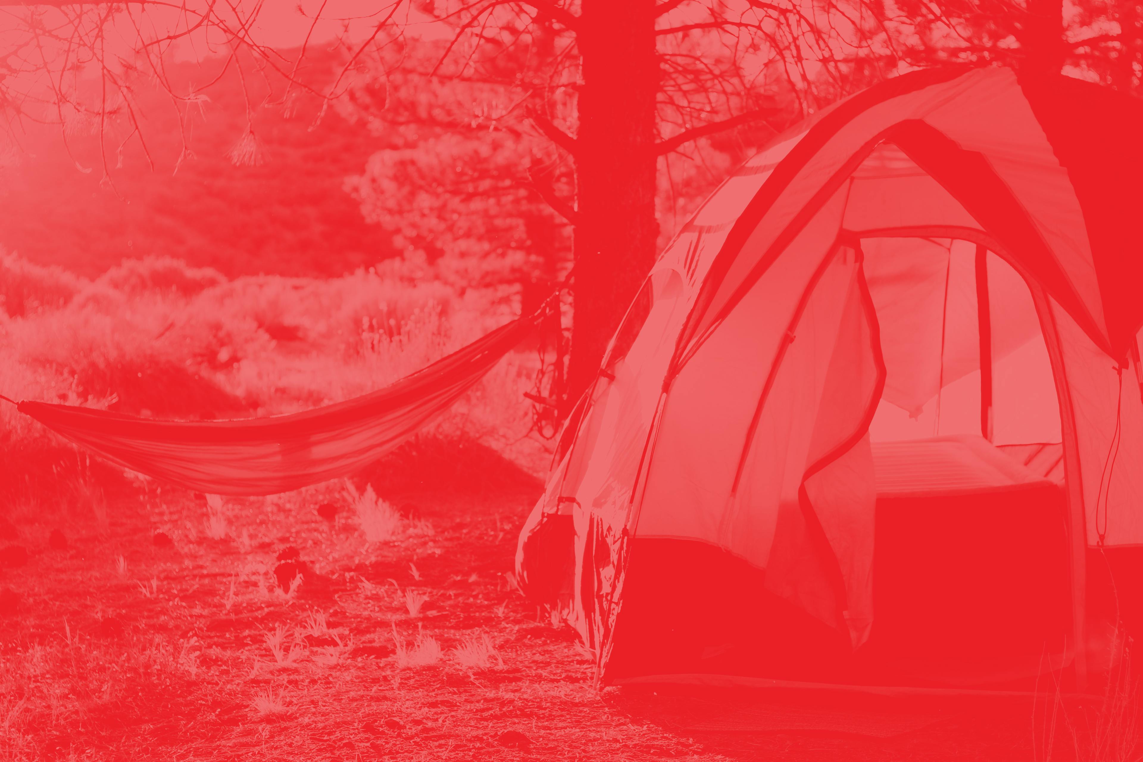 Santa Cruz City Council s Cruel Camping Ban Criminalizes and santa-cruz-city-council-s-cruel-camping-ban-criminalizes-and