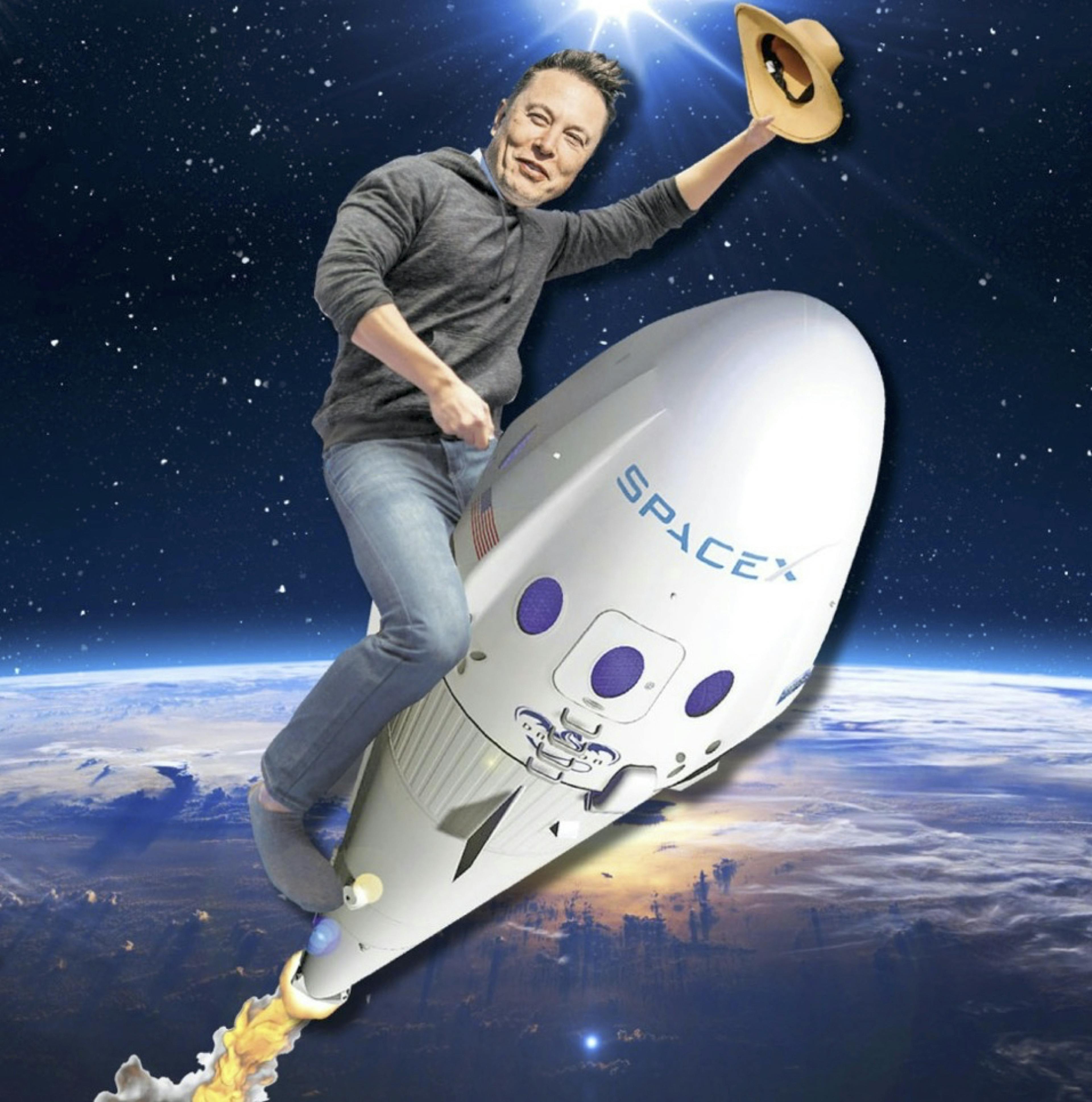 Elon musk steam фото 63