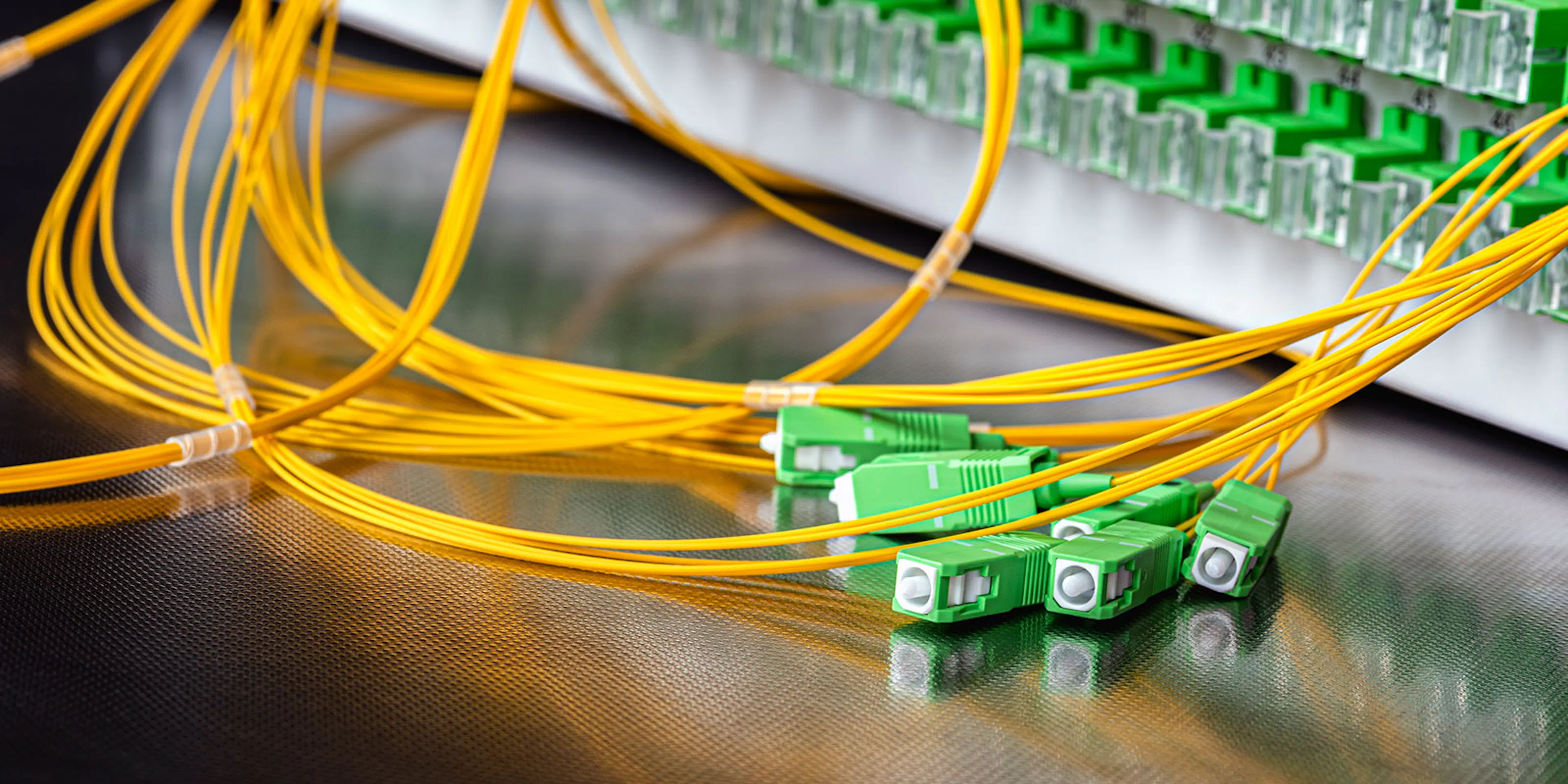 Fiber optic patch cords with SC/APC connectors laid out in front of an optical distribution frame
